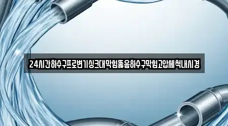 24시간하수구프로변기싱크대막힘뚫음하수구막힘고압세척내시경