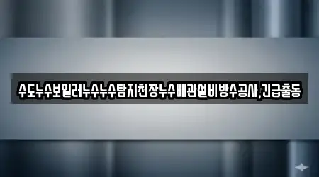 수도누수보일러누수누수탐지천장누수배관설비방수공사,긴급출동