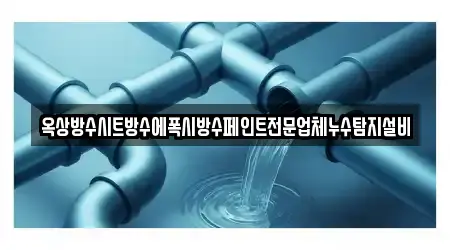 옥상방수시트방수에폭시방수페인트전문업체누수탐지설비