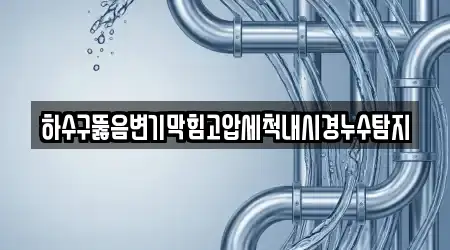 하수구뚫음변기막힘고압세척내시경누수탐지