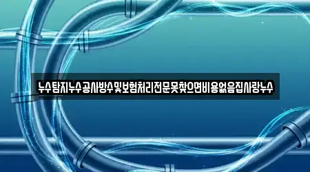 누수탐지누수공사방수및보험처리전문못찾으면비용없음집사랑누수
