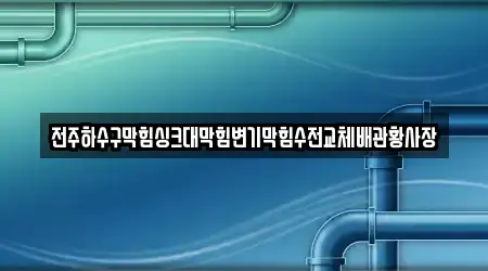 전주하수구막힘싱크대막힘변기막힘수전교체배관황사장