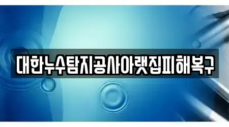 대한누수탐지공사아랫집피해복구