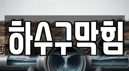 17곳 전주 완산구 서신동 하수구막힘, 모아보기