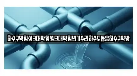 하수구막힘싱크대막힘씽크대막힘변기수리하수도뚫음하수구약방