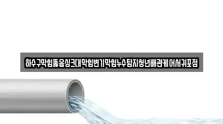 하수구막힘뚫음싱크대막힘변기막힘누수탐지청년배관케어서귀포점
