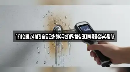 가가설비24시간출동근처하수구변기막힘싱크대역류뚫음누수탐사
