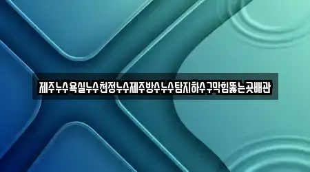 제주누수욕실누수천정누수제주방수누수탐지하수구막힘뚫는곳배관