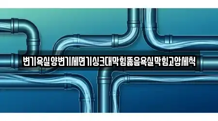 변기욕실양변기세면기싱크대막힘뚫음욕실막힘고압세척