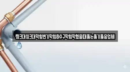 씽크대싱크대막힘변기막힘하수구막힘막혔을때뚫는뚫기뚫음업체