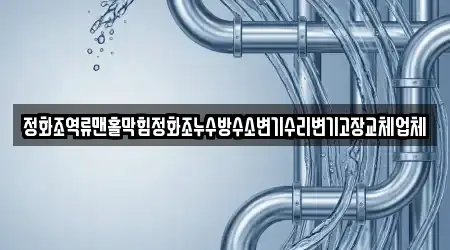 정화조역류맨홀막힘정화조누수방수소변기수리변기고장교체업체