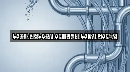 누수공사.천정누수공사.수도배관설비.누수탐지.언수도녹임