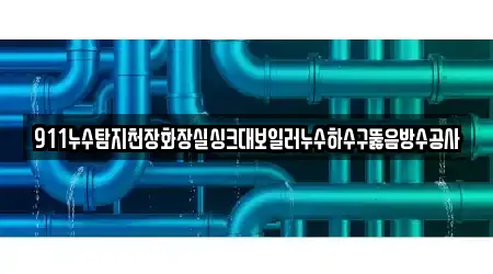 911누수탐지천장화장실싱크대보일러누수하수구뚫음방수공사