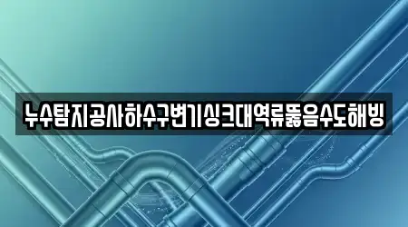 누수탐지공사하수구변기싱크대역류뚫음수도해빙