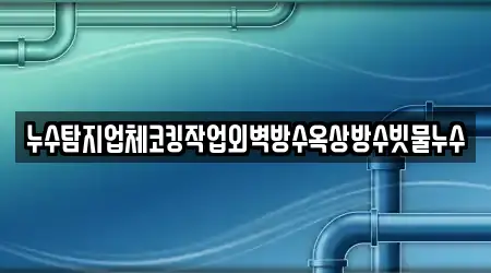 누수탐지업체코킹작업외벽방수옥상방수빗물누수