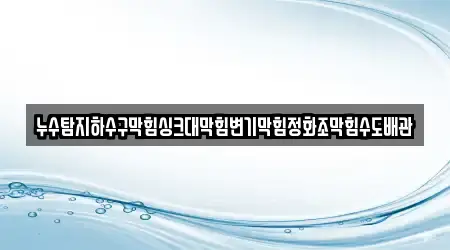 누수탐지하수구막힘싱크대막힘변기막힘정화조막힘수도배관
