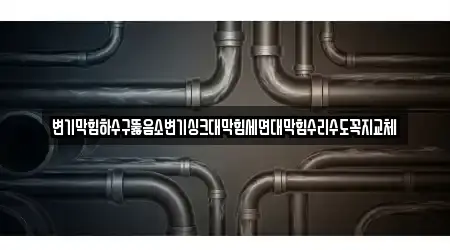 13 우수 변기뚫음 충북 동현동 정보