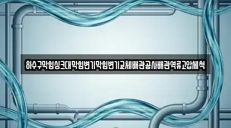 하수구막힘싱크대막힘변기막힘변기교체배관공사배관역류고압세척