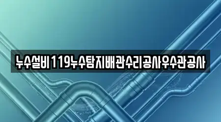 누수설비119누수탐지배관수리공사우수관공사