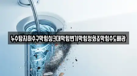 누수탐지하수구막힘싱크대막힘변기막힘정화조막힘수도배관