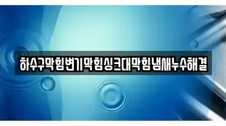 하수구막힘변기막힘싱크대막힘냄새누수해결