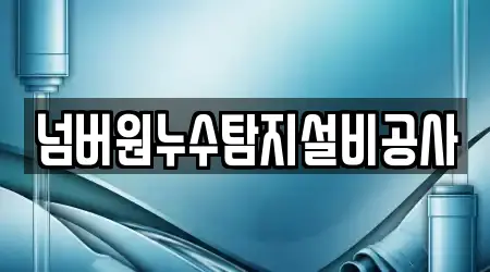 넘버원누수탐지설비공사