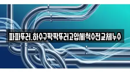 파파뚜러.하수구팍팍뚜러고압세척수전교체누수