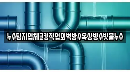 누수탐지업체코킹작업외벽방수옥상방수빗물누수