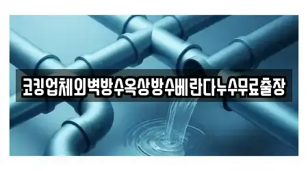 코킹업체외벽방수옥상방수베란다누수무료출장