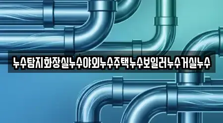누수탐지화장실누수야외누수주택누수보일러누수거실누수