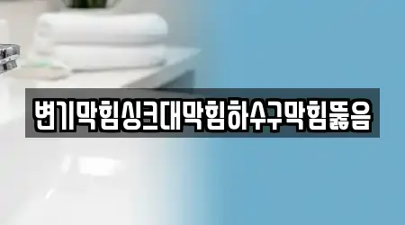 변기막힘싱크대막힘하수구막힘뚫음