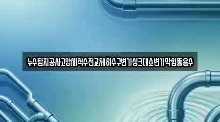 누수탐지공사고압세척수전교체하수구변기싱크대소변기막힘뚫음수