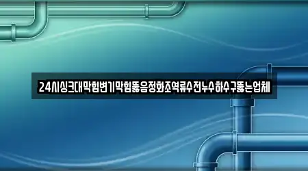 24시싱크대막힘변기막힘뚫음정화조역류수전누수하수구뚫는업체