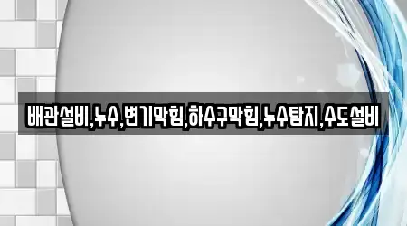 배관설비,누수,변기막힘,하수구막힘,누수탐지,수도설비