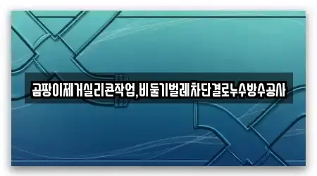 곰팡이제거실리콘작업,비둘기벌레차단결로누수방수공사