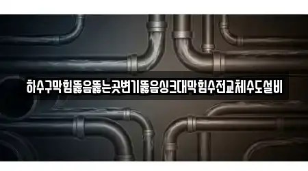 하수구막힘뚫음뚫는곳변기뚫음싱크대막힘수전교체수도설비