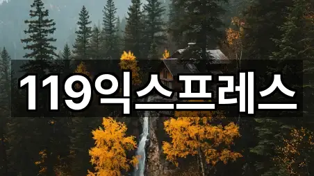 119익스프레스