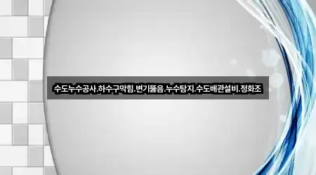 전북 내척동 변기뚫음 · 인기 4곳 전북 내척동 변기뚫음 · 인기 4곳