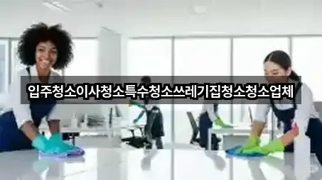 입주청소이사청소특수청소쓰레기집청소청소업체