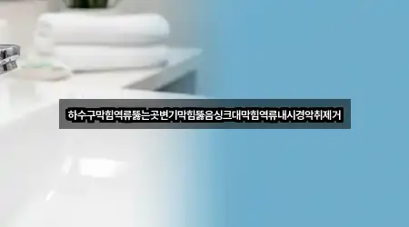 하수구막힘역류뚫는곳변기막힘뚫음싱크대막힘역류내시경악취제거