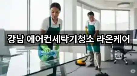 강남 에어컨세탁기청소 라온케어