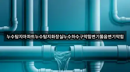 경상북도 경주 마동 변기뚫음 인증 업체 3곳