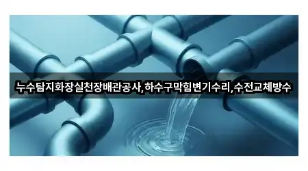 누수탐지화장실천장배관공사,하수구막힘변기수리,수전교체방수