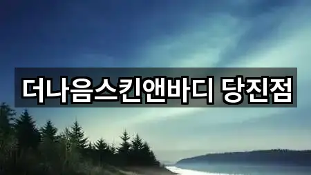 더나음스킨앤바디 당진점