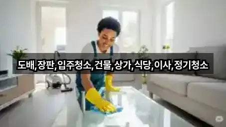 도배,장판,입주청소,건물,상가,식당,이사,정기청소