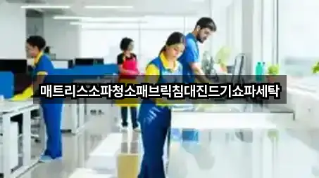 매트리스소파청소패브릭침대진드기쇼파세탁