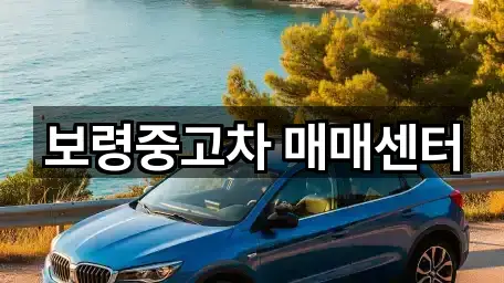 보령중고차 매매센터