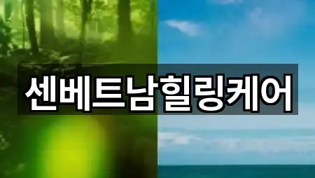 센베트남힐링케어