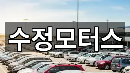 서구 가장동중고차 4곳 인근 보기