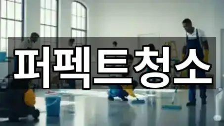 5곳 충북 왕암동 청소 총정리